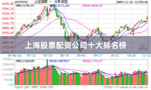 上海股票配资公司十大排名榜
