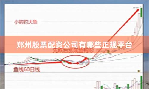 郑州股票配资公司有哪些正规平台